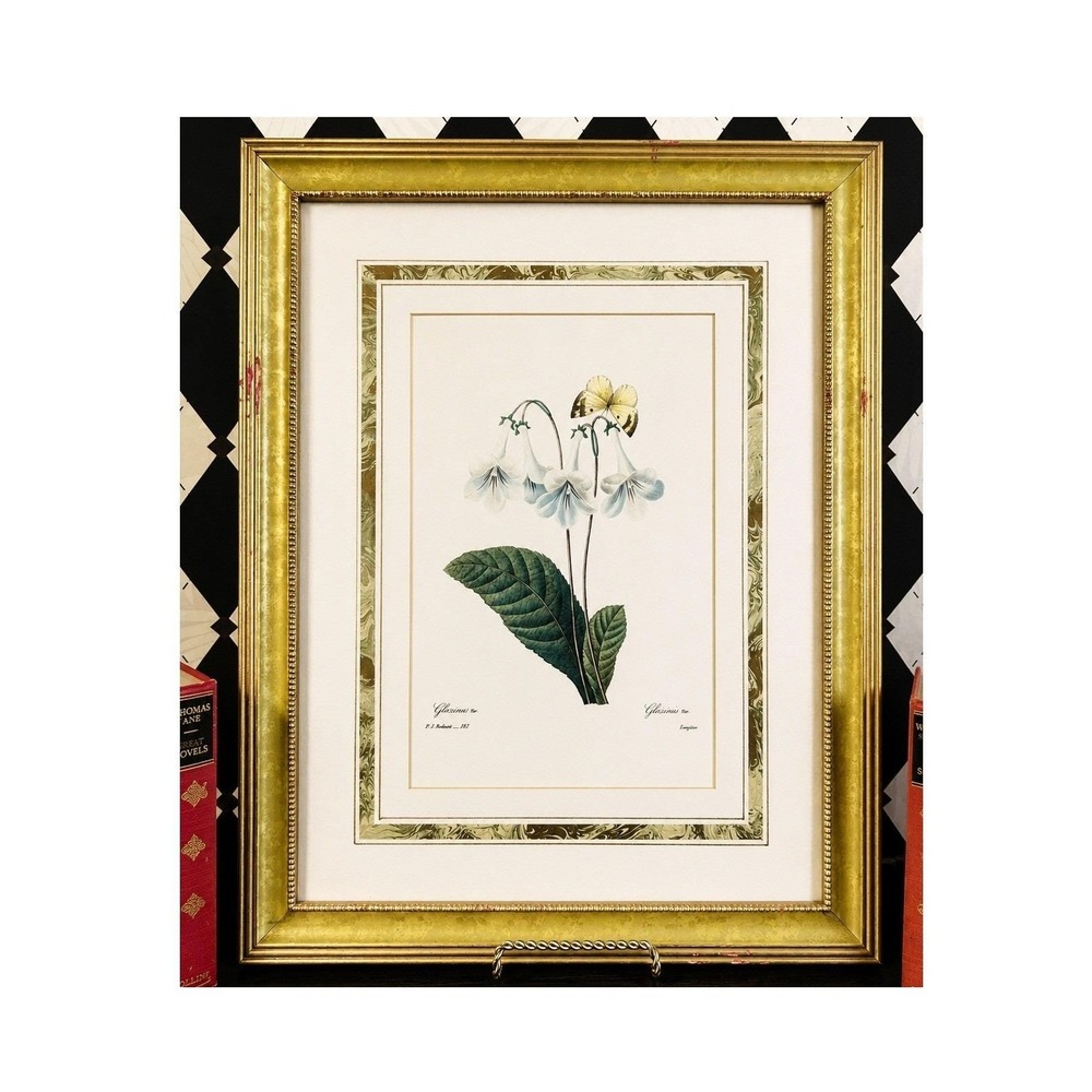 Large Botanical Lithograph Professionally Framed 21" Redouté French Floral Print